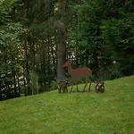 Tatil Evi Tannenhaeuschen Sauerland