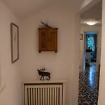 Tatil Evi Tannenhaeuschen Sauerland Schmallenberg