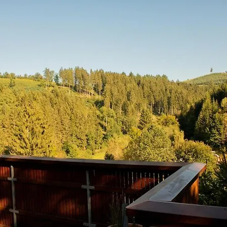 Tannenhaeuschen Sauerland Feriehus Schmallenberg
