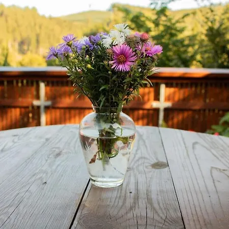 Feriehus Tannenhaeuschen Sauerland *