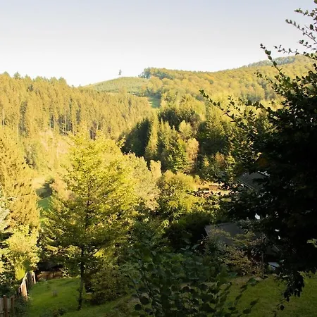 Feriehus Tannenhaeuschen Sauerland Schmallenberg
