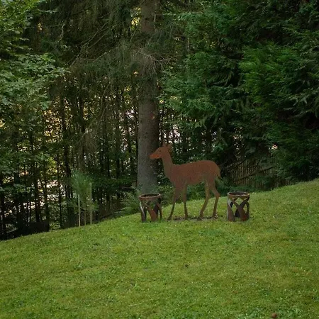 Feriehus Tannenhaeuschen Sauerland