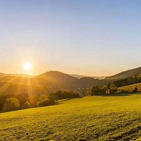 Tannenhaeuschen Sauerland *