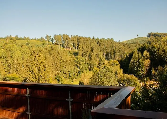 Tannenhaeuschen Sauerland Feriehus Schmallenberg