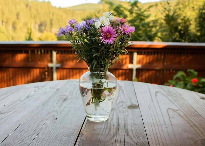 Feriehus Tannenhaeuschen Sauerland *
