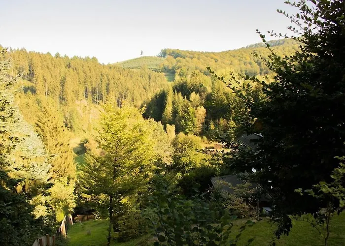 Feriehus Tannenhaeuschen Sauerland Schmallenberg