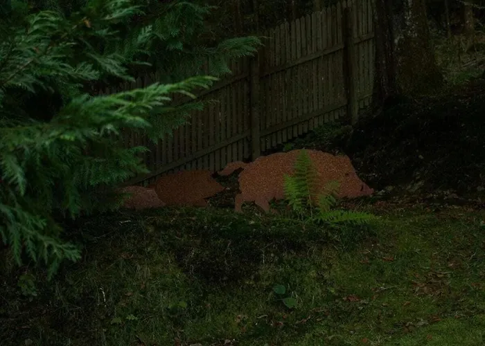 Tannenhaeuschen Sauerland Feriehus Schmallenberg