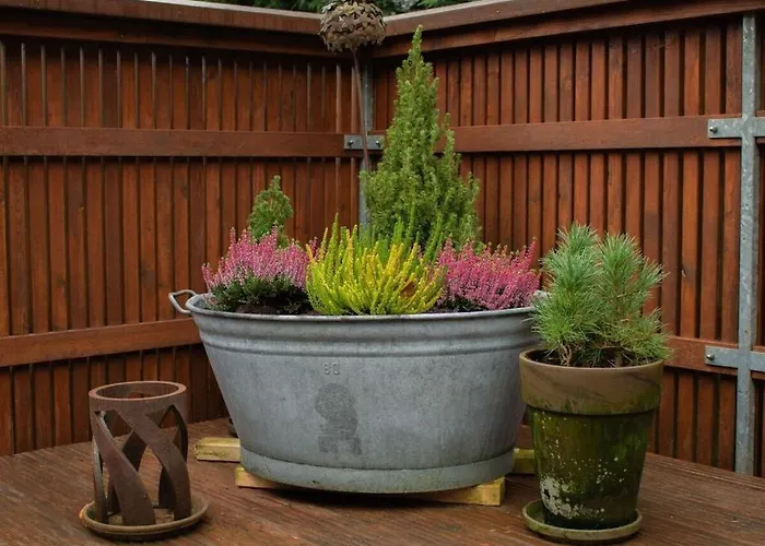 Feriehus Tannenhaeuschen Sauerland Schmallenberg