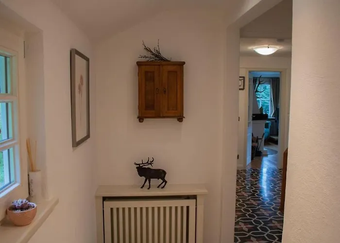 Feriehus Tannenhaeuschen Sauerland Schmallenberg