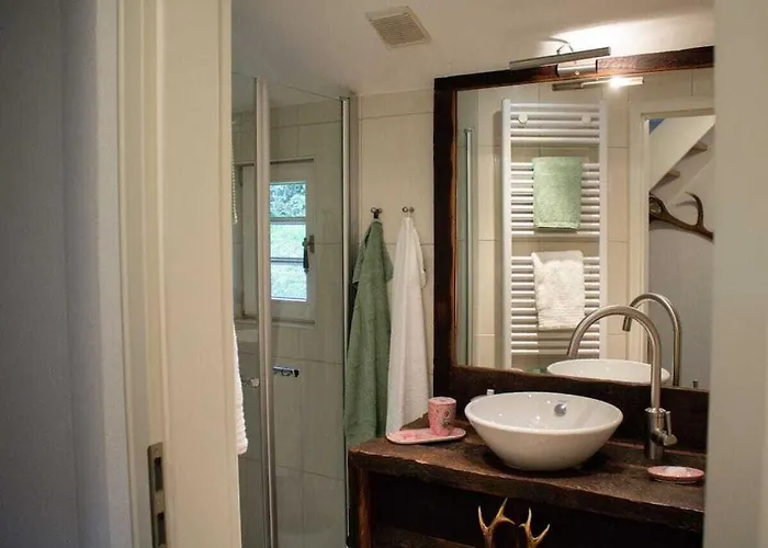 Tannenhaeuschen Sauerland Feriehus